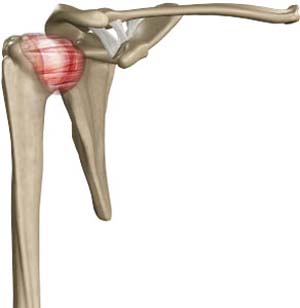 Elbow Fractures