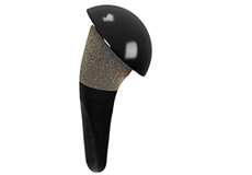 Pyrocarbon Hemiarthroplasty